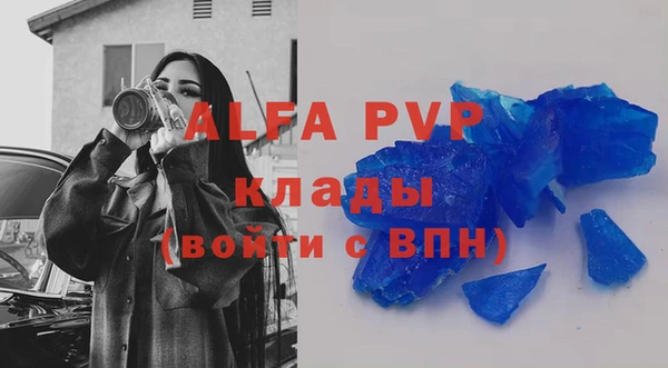 амф Верея