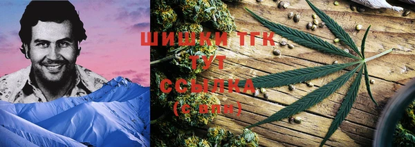 амф Верея