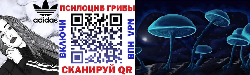 Псилоцибиновые грибы MAGIC MUSHROOMS  Купить закладки  Инсар 